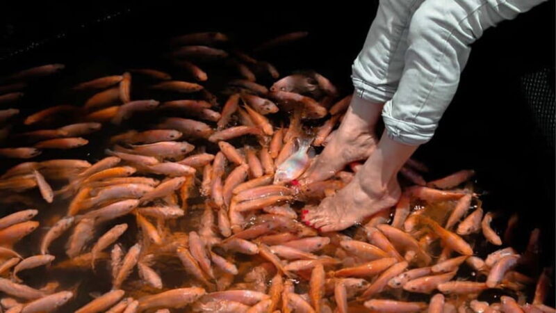 Bentota City Tour from Unawatuna - Key Points