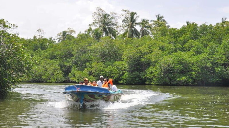 Bentota City Tour from Unawatuna - Detailed Breakdown of the Itinerary