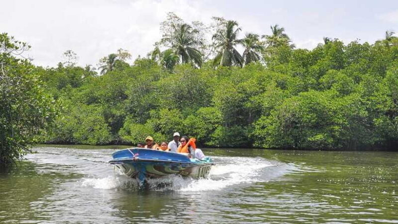 Bentota City Tour from Unawatuna - Who Would Enjoy This Tour?