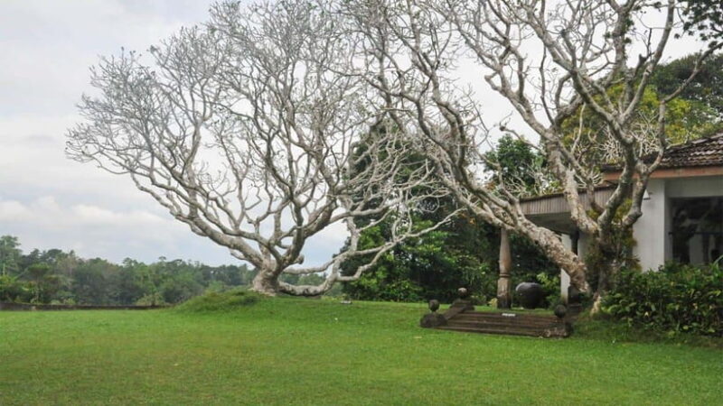 Bentota City Tour from Unawatuna - The Sum Up