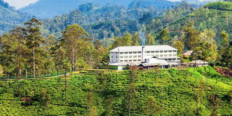 Bentota/Kalutara/Hikkaduwa: Day Trip to Ella Highlands - The Scenic Journey to Ella