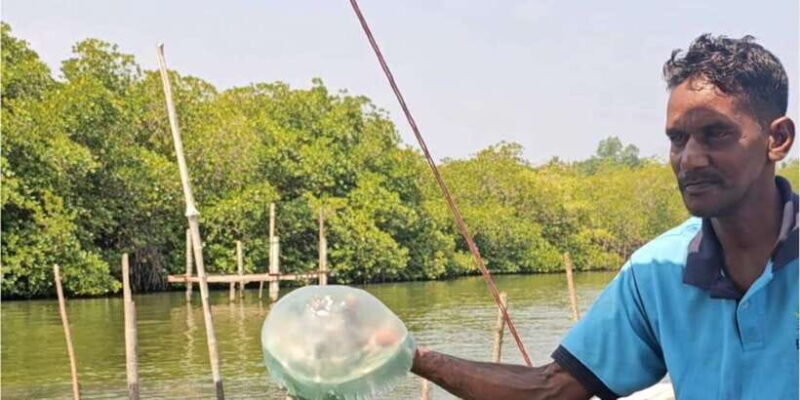 Bentota River Safari -Ahungalla/Bentota/Aluthgama/Kosgoda - Key Points