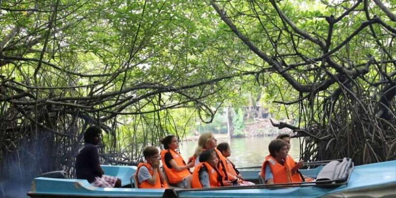 Bentota River Safari -Ahungalla/Bentota/Aluthgama/Kosgoda - The Sum Up