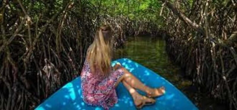 Bentota: River Safari with Hotel Pickup and Drop-Off - The Sum Up