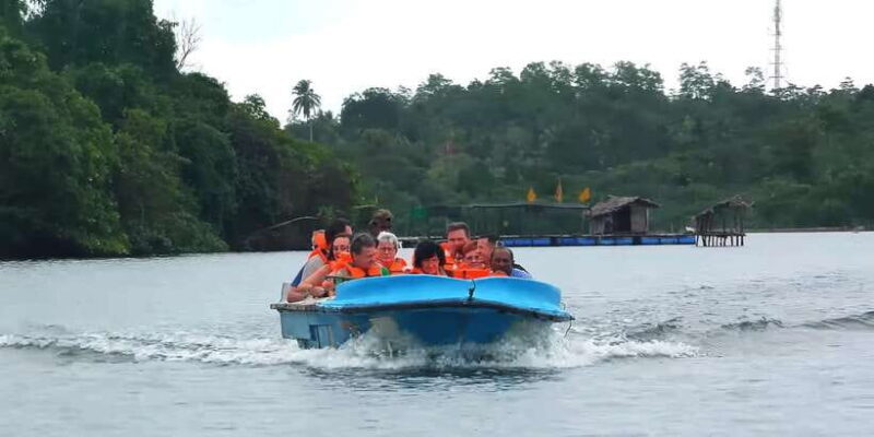 Bentota: swampboat Ride Through Mangrove Forest - Key Points