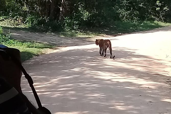 Bentota Tuk Tuk Safari - The Sum Up