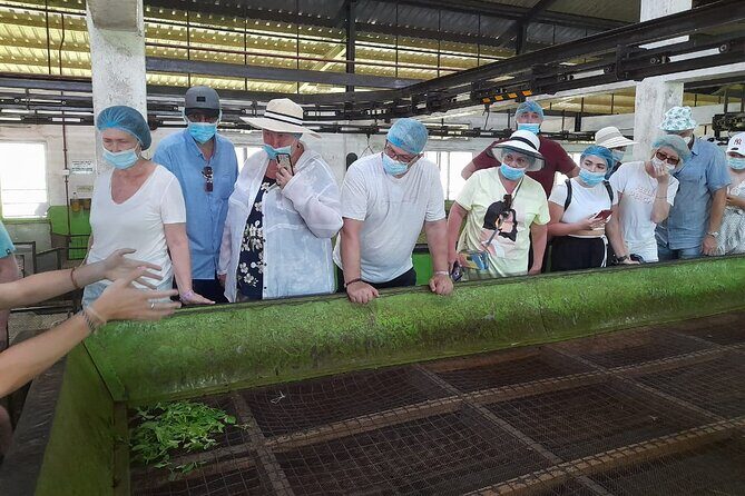 Bentota Village Tour with River Safari & Tea Plantation/Factory - All Inclusive - Who Is This Tour Best For?