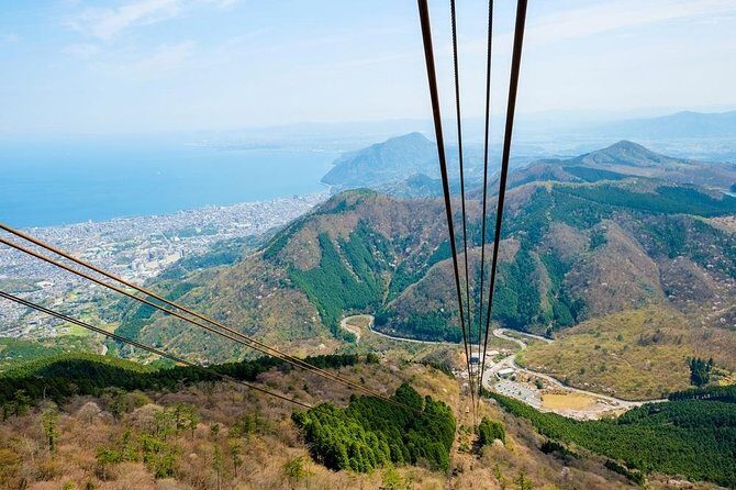 Beppu 4hr Private Trip with Government-Licensed Guide - What the Tour Means for You