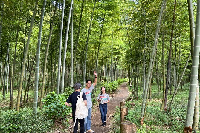 Beppu Private Tour - Onsen Experience in nature - A Deep Dive into the Beppu Onsen Experience