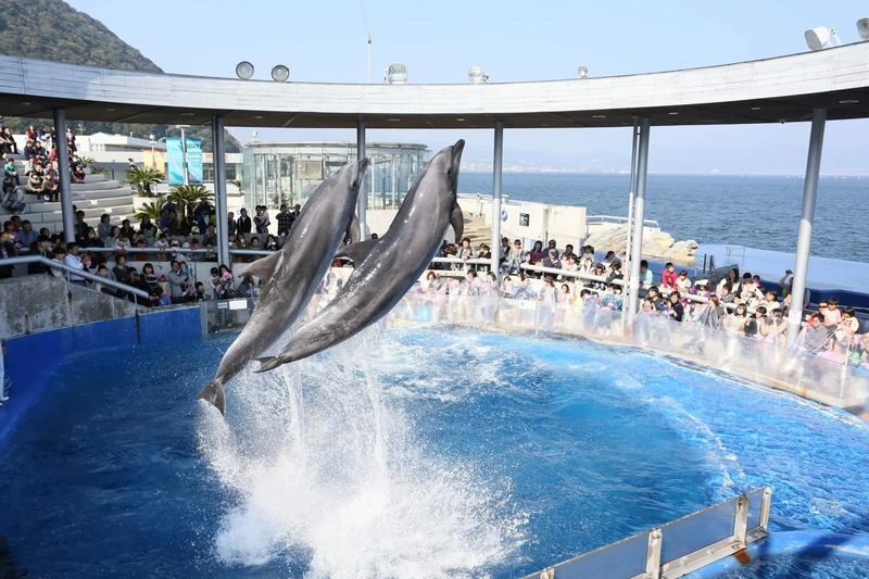 Beppu & Yufuin & Oita Private Car Tour with Driver - What a day might include