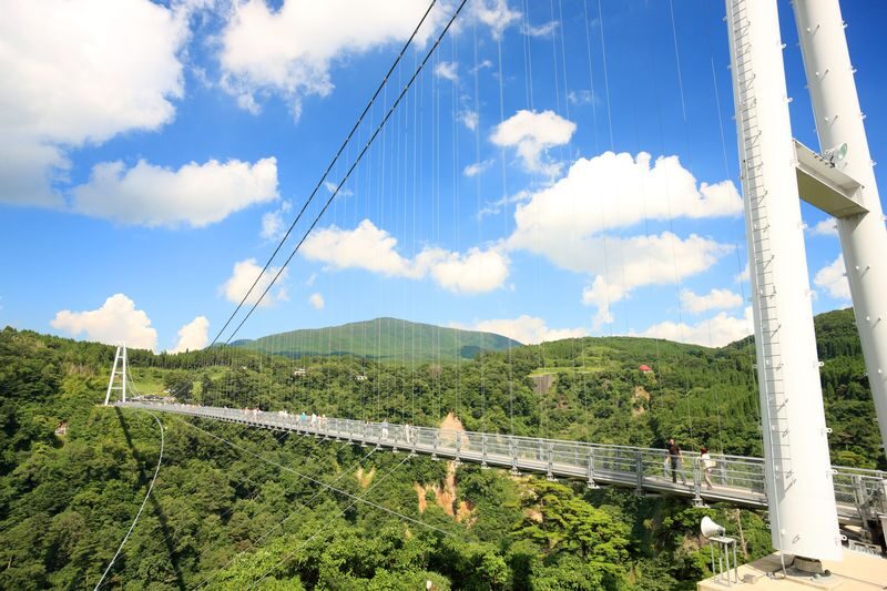 Beppu & Yufuin & Oita Private Car Tour with Driver - The driver is your transport link, not always your guide