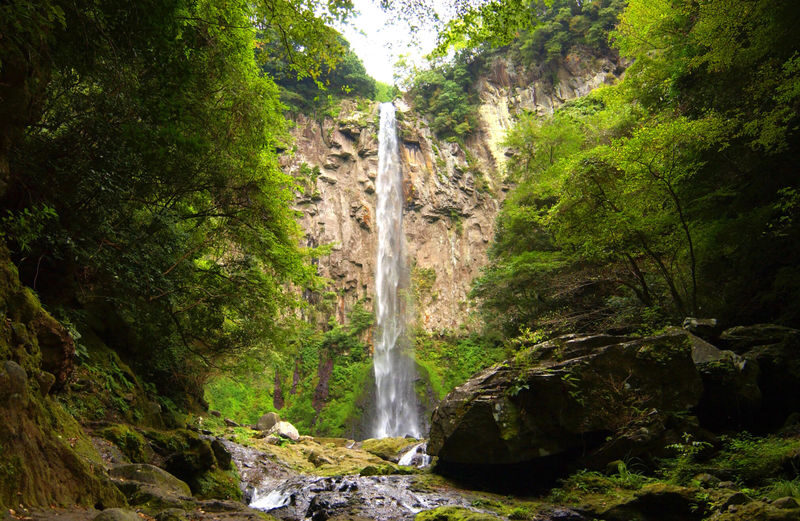 Beppu & Yufuin & Oita Private Car Tour with Driver - Pickup, timing, and a few limits to keep in mind