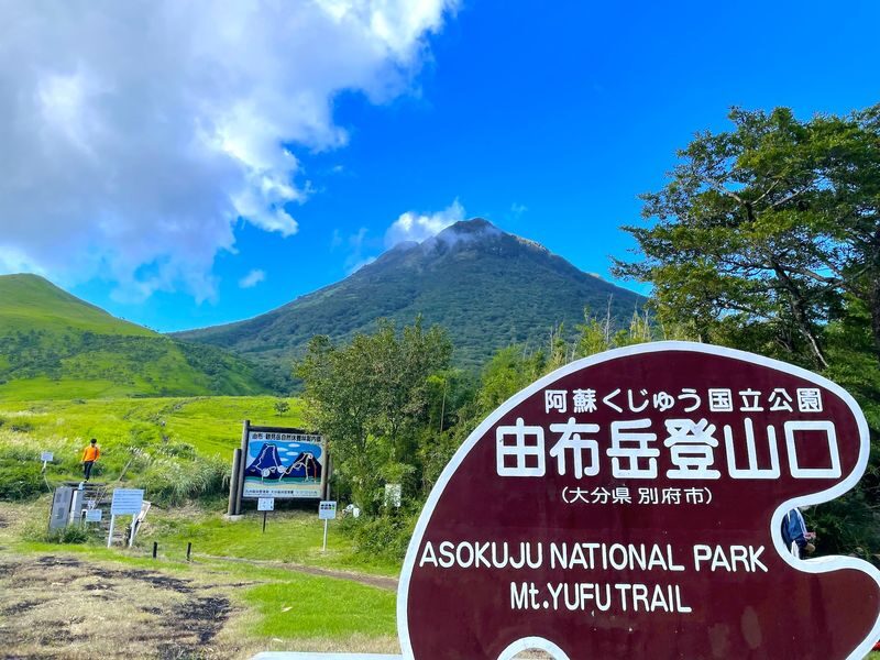 Beppu & Yufuin & Oita Private Car Tour with Driver - Should you book it?