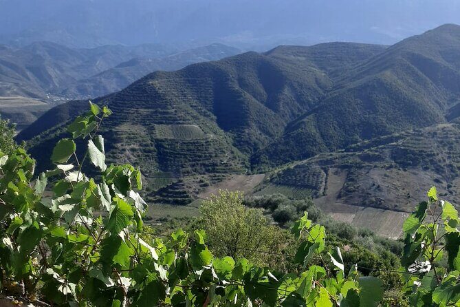 Berat 4x4 Off-Road and Vineyard Wine Tasting - Final Thoughts: Is It Worth It?
