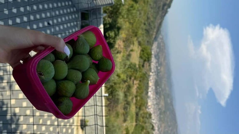 Berat: Farm-to-Table Cooking Class with Local Family - The Authenticity of Hospitality