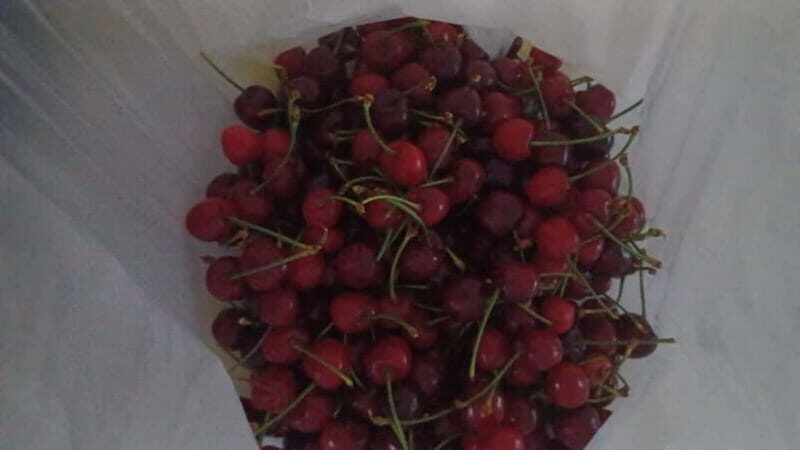 Berat: Farm-to-Table Cooking Class with Local Family - Who Will Love This Tour?
