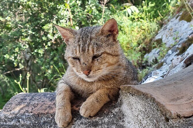 Berat Full Day Trip from Tirana - Final Thoughts