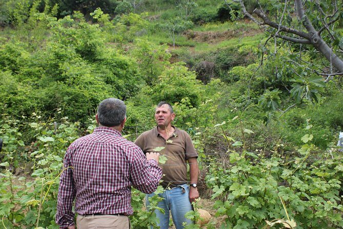 Berat Grand Wine Tasting & Food Tour - The Sum Up