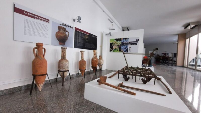 Berchidda: Visit to the Wine Museum with Wine Tasting - Berchidda: Visit to the Wine Museum with Wine Tasting – A Deep Dive into Sardinia’s Vine Culture