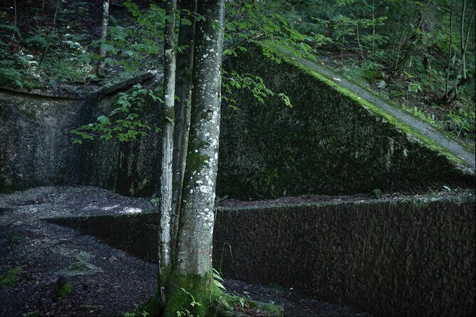 Berchtesgaden-Obersalzberg Private Half Day WWII Historical Tour - Final Thoughts