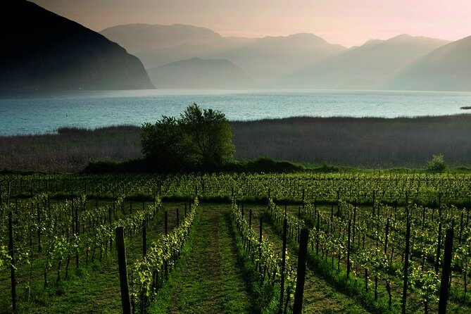 Bergamo and Franciacorta with lunch and cellar visit - FAQ