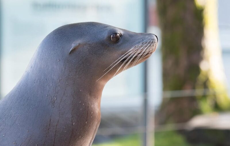 Bergen: Bergen Aquarium Entry Ticket - Key Points
