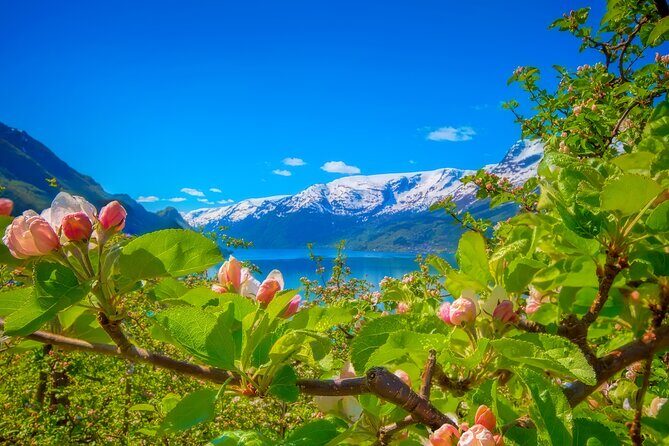Bergen Beyond Day trip - How Does This Tour Compare?