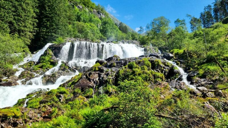 Bergen: Cruise to beautiful Rosendal by the Hardangerfjord - What to Expect in Rosendal