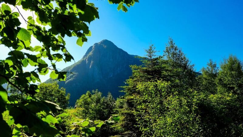 Bergen: Cruise to beautiful Rosendal by the Hardangerfjord - Authenticity and Traveler Experiences