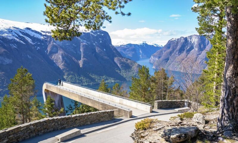 Bergen: Flam Railway, Stegastein View Point and Fjord Cruise - Price and Value Analysis