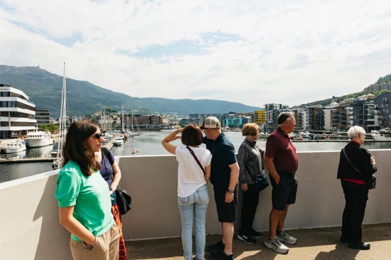 Bergen: Guided Minibus Tour with Photo Stops - Final Thoughts