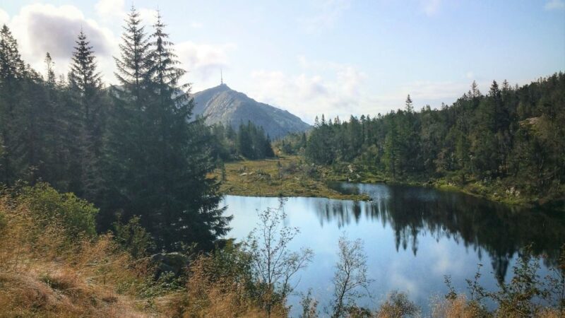 Bergen: Guided mountain hike on top of Bergen - The Practical Side: What You Need to Know