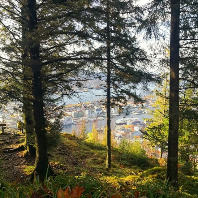 Bergen: Guided mountain hike on top of Bergen - FAQ