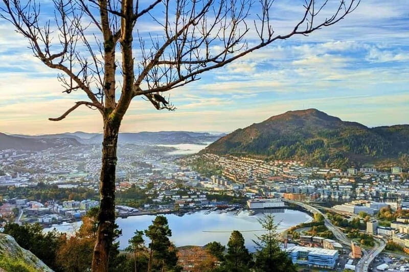Bergen Like a Local: Culture, Views, and the Stave Church - A Thorough Look at the Bergen Like a Local Tour