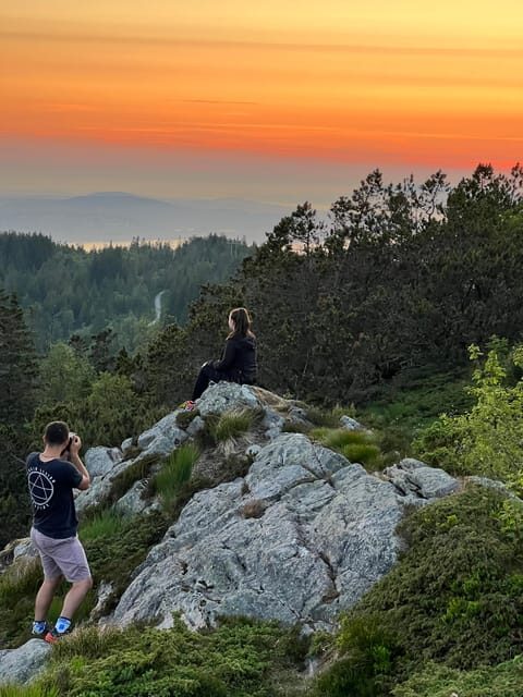 Bergen Magical Nature Tour | ViFlowExperience - Exploring Bergen’s Natural Treasures