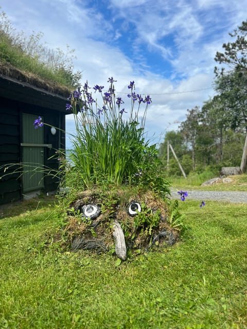 Bergen Magical Nature Tour | ViFlowExperience - The Unique Highlights of the Tour