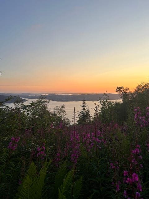 Bergen Magical Nature Tour | ViFlowExperience - What’s Included & What’s Not