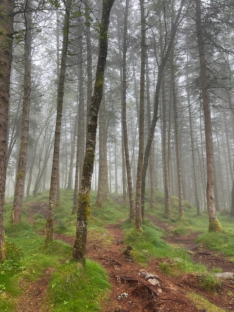 Bergen Magical Nature Tour | ViFlowExperience - Who Will Love This Tour?