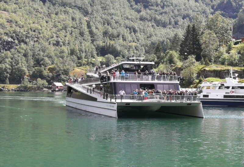 Bergen: Nærøyfjord Cruise and Flåm Railway Ride to Oslo - Who Should Consider This Tour?