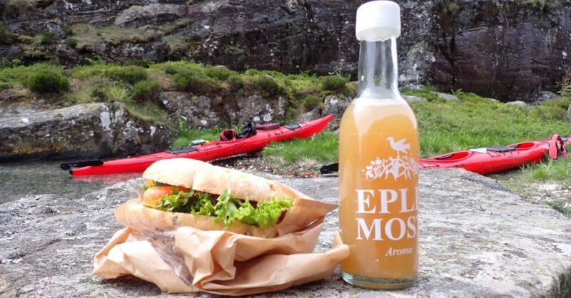 Bergen: Øygarden Islets Guided Kayaking Tour - Who Would Enjoy This Tour?