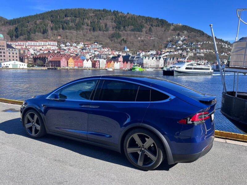 Bergen: Private City Tour with the Best of Hardangerfjord - More Waterfalls and Scenic Encounters