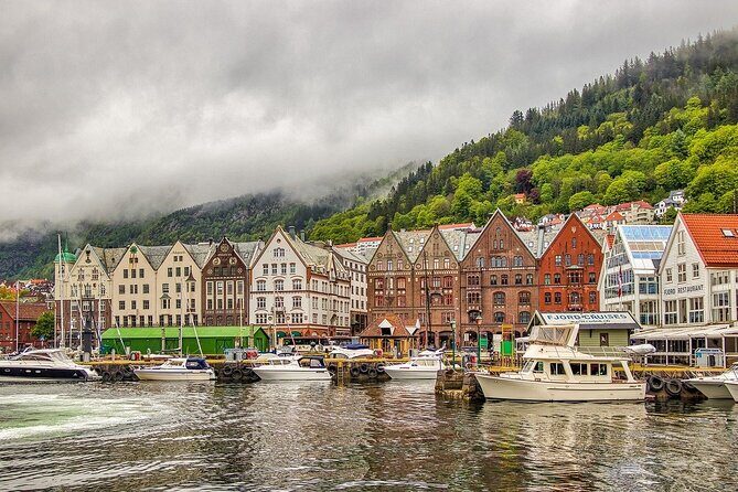 Bergen Private Walking Tour With A Professional Guide - Exploring Bergen Through a Private Guide: A Deep Dive