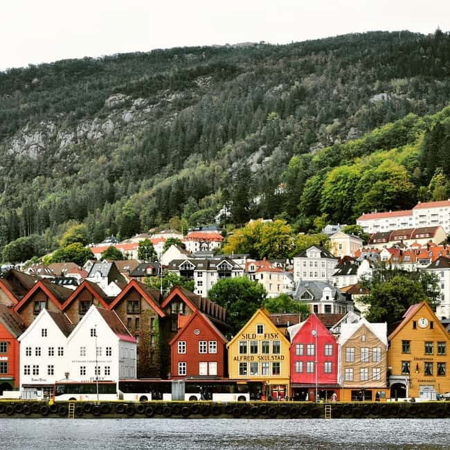 Bergen: Private Walking Tour With Local Guide - Practical details