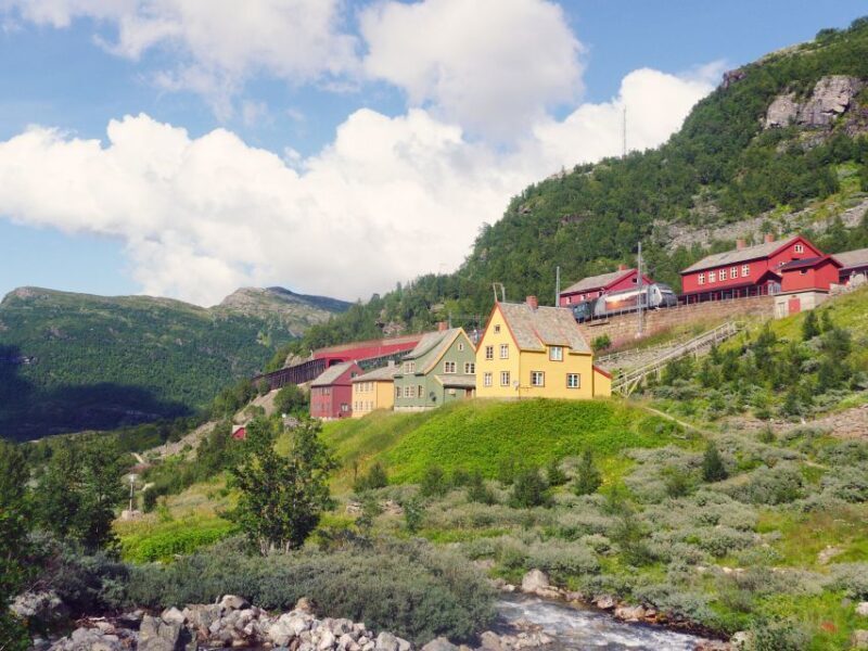 Bergen: Self-Guided Trip to Oslo with Sognefjord cruise (5h) - Key Points