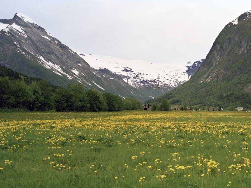 Bergen: Self-Guided Trip to Oslo with Sognefjord cruise (5h) - FAQ