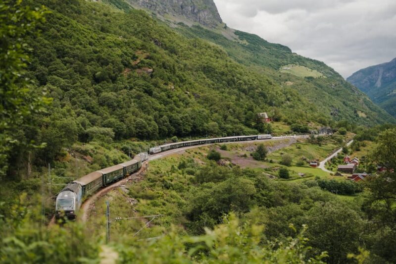 Bergen: Viking Village, Nærøyfjorden Cruise and Flåm Railway - Cruising the UNESCO-Listed Nærøyfjorden