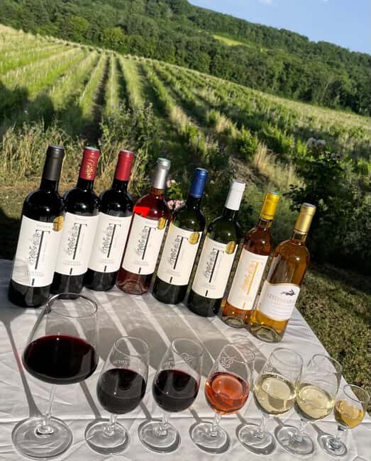 Bergerac: Wine Tasting at Chateau Lestevenie - Who Will Enjoy This Most?
