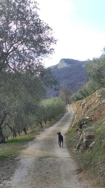 Berici Hills: Guided Hike to Alonte 21/09 only! - Key Points