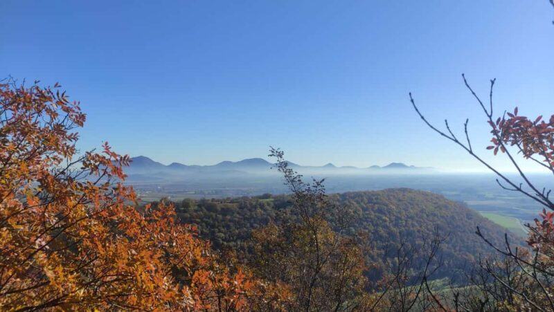 Berici Hills: Guided Hike to Alonte 21/09 only! - A Detailed Look at the Berici Hills Guided Hike