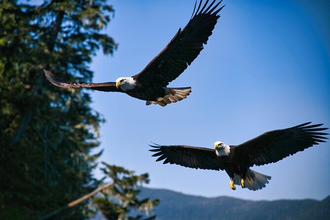 Bering Sea Crab Fisherman's Tour from Ketchikan - A Deep Dive Into the Bering Sea Crab Fishermans Tour